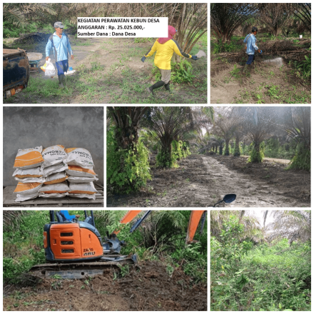 Album : DOKUMENTASI KEGIATAN PERAWATAN KEBUN DESA TA 2025